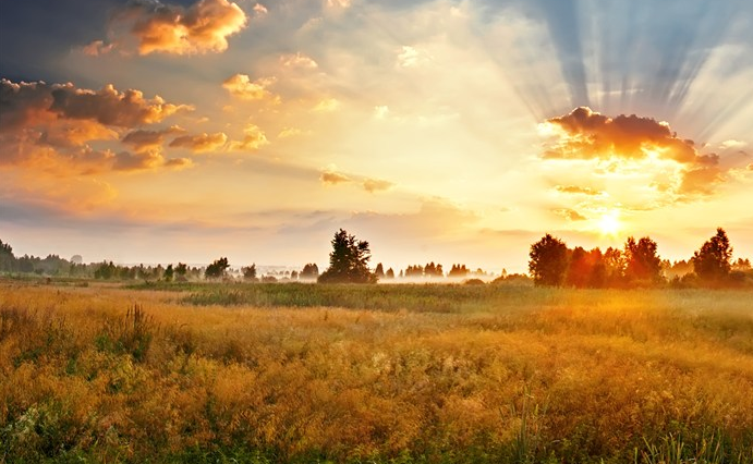 杭州城市電梯應(yīng)急指揮機(jī)制領(lǐng)先全國(guó)