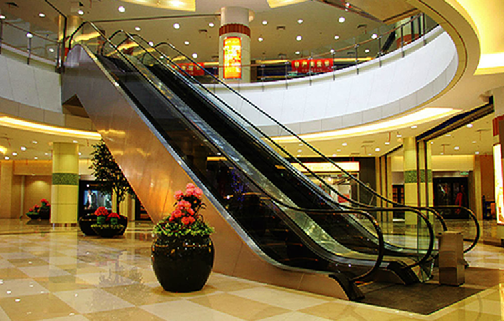 2016年西尼電梯評(píng)選為“中國(guó)十大最受歡迎電梯品牌”